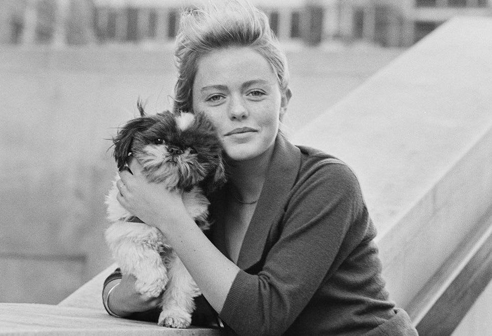 50+ Celebrities With Their Adorable Dogs