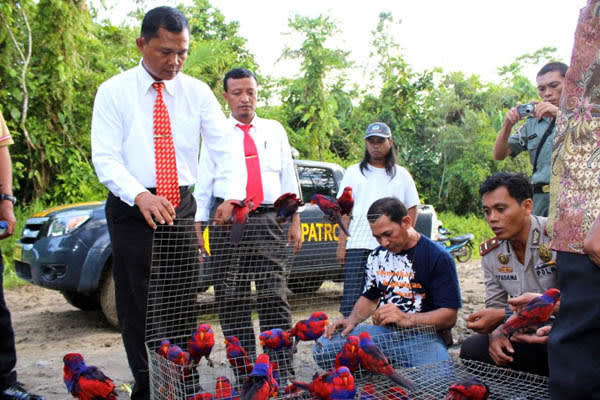 Polres Cilegon Gagalkan Upaya Penyelundupan 1.000 Ekor Burung Langka