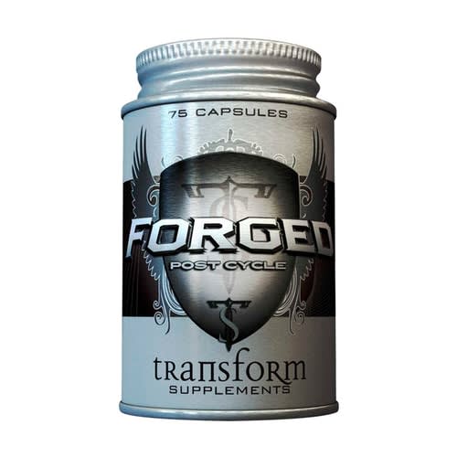 Transform Forged - Post Cycle