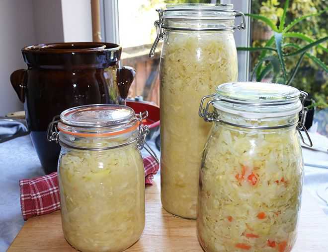 How To Make Easy Homemade Sauerkraut Recipe with 2 Ingredients
