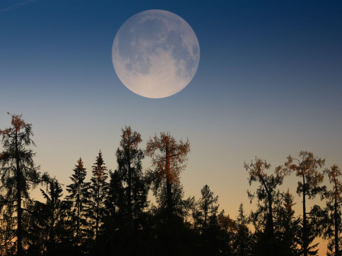 The last supermoon of the year will light up the sky tomorrow
