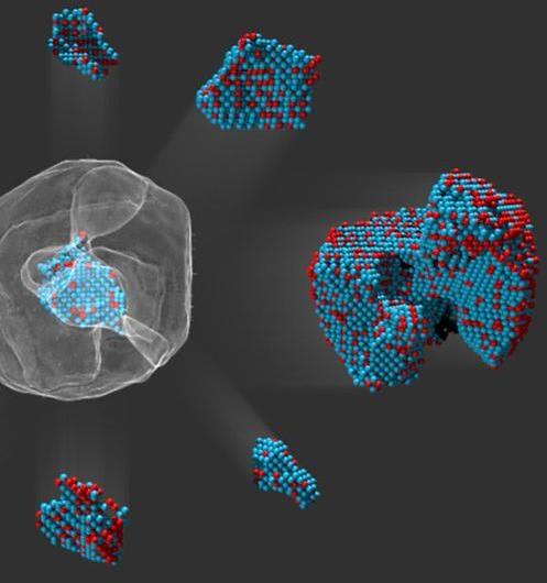 New Microscope Shows the Quantum World in Crazy Detail