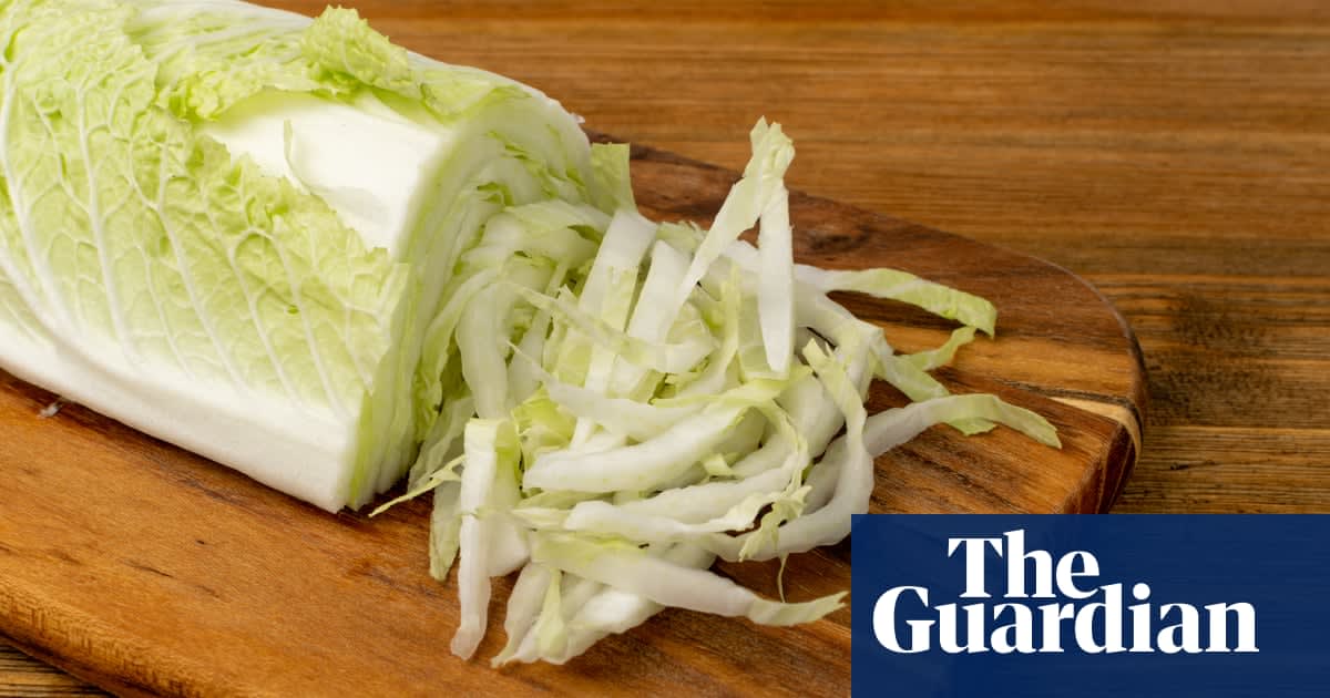 Cooking with wombok: 'It's the Norah Jones of the cabbage kingdom'