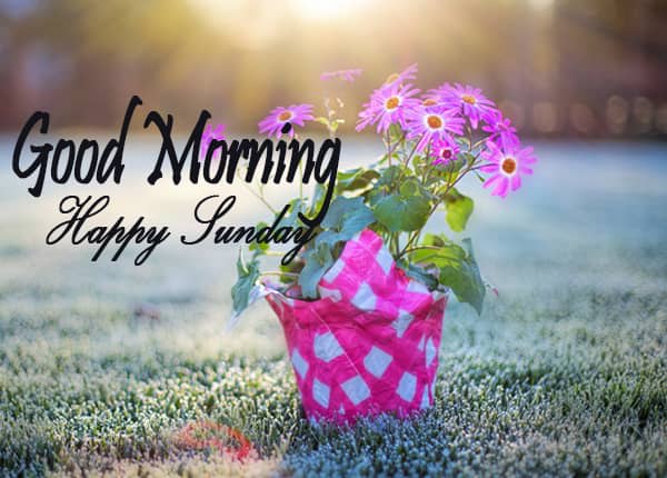 Wish With Good Morning Sunday Images