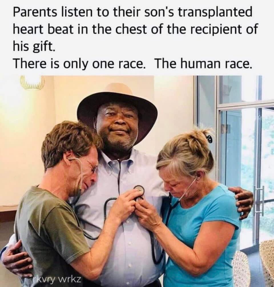 We are all one race