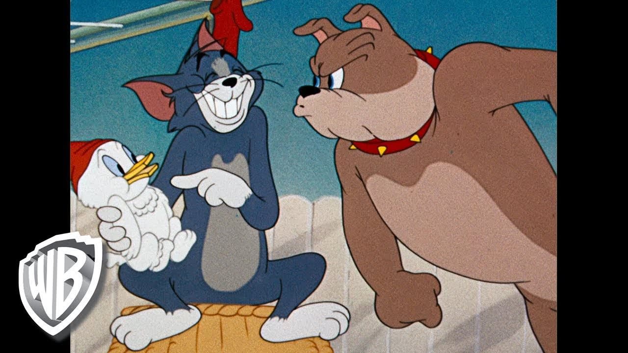 Tom & Jerry Still Funniest Cartoon You Saw On The Internet