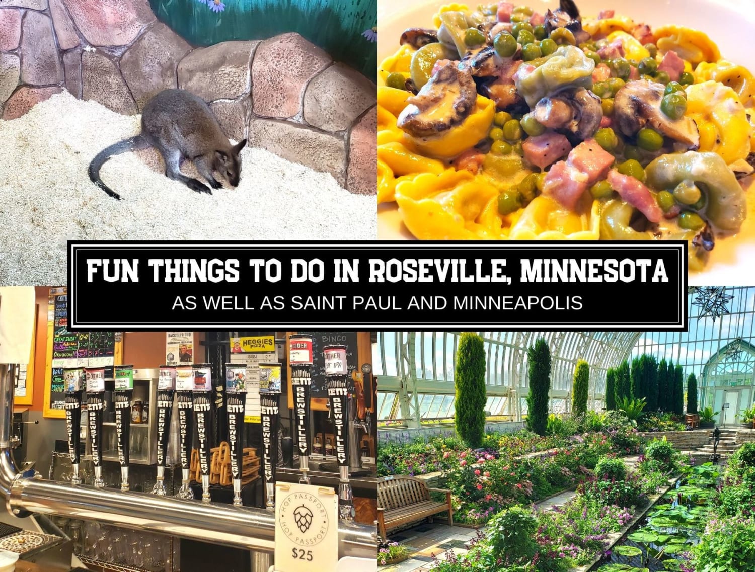 Fun Things To Do In Roseville, Minnesota