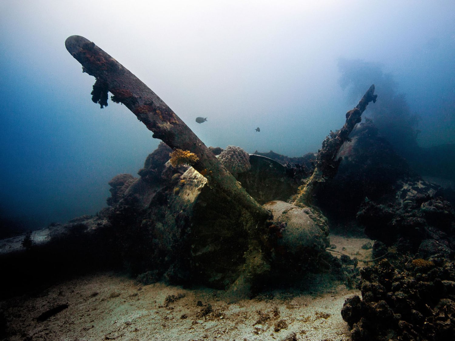 Thrilling Underwater Shipwrecks to See Around the World
