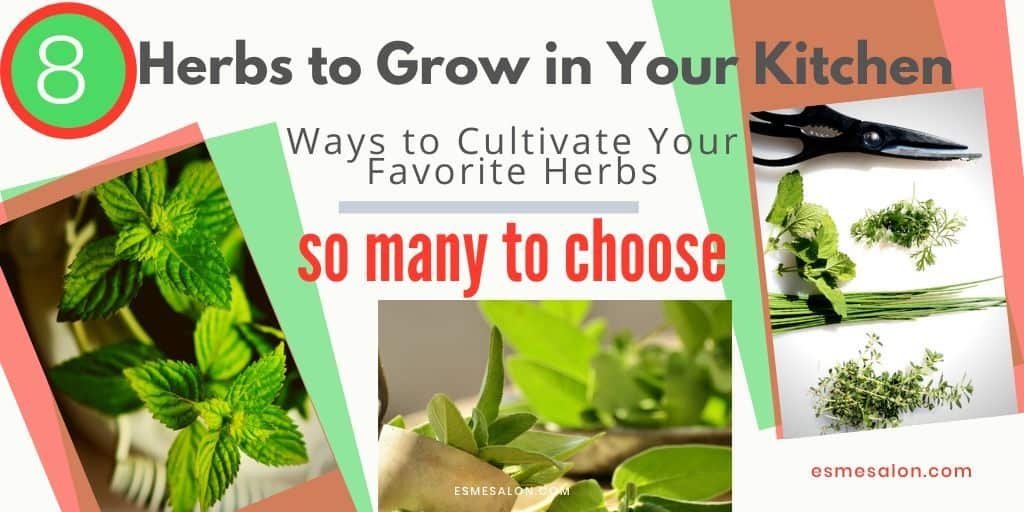 8 Herbs to Grow in Your Kitchen ~ Esme Salon