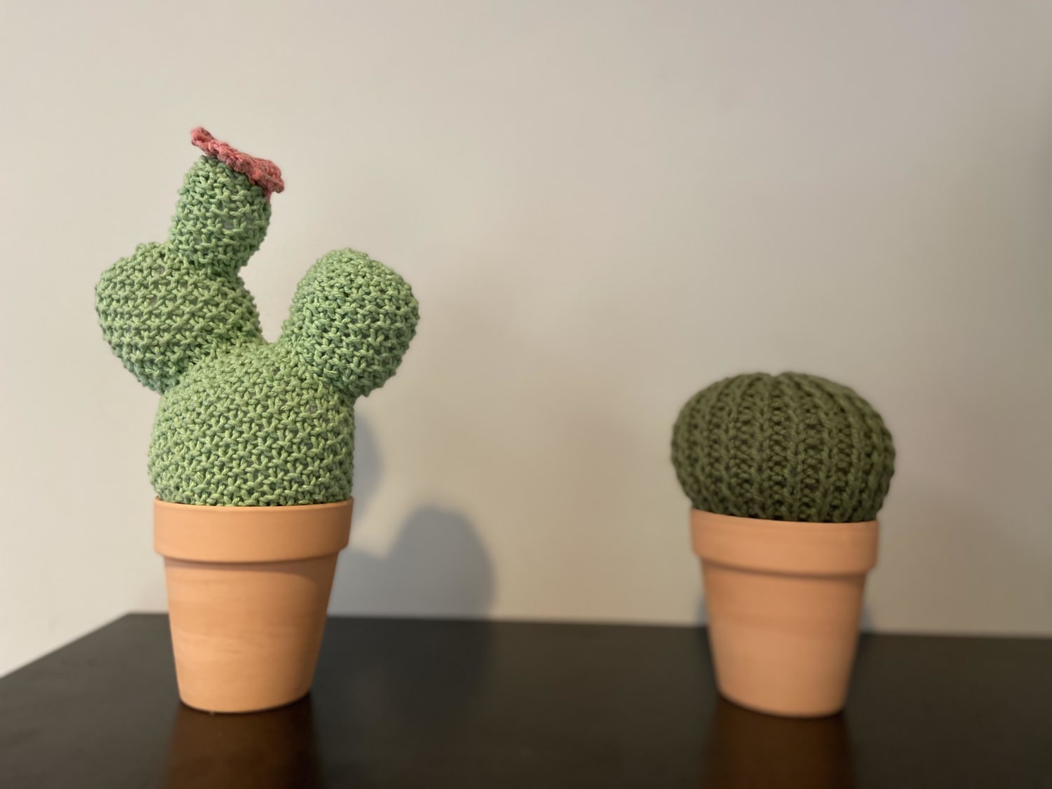 I knitted cacti and I’m obsessed! Goes quite nicely with my new house plant obsession 😊