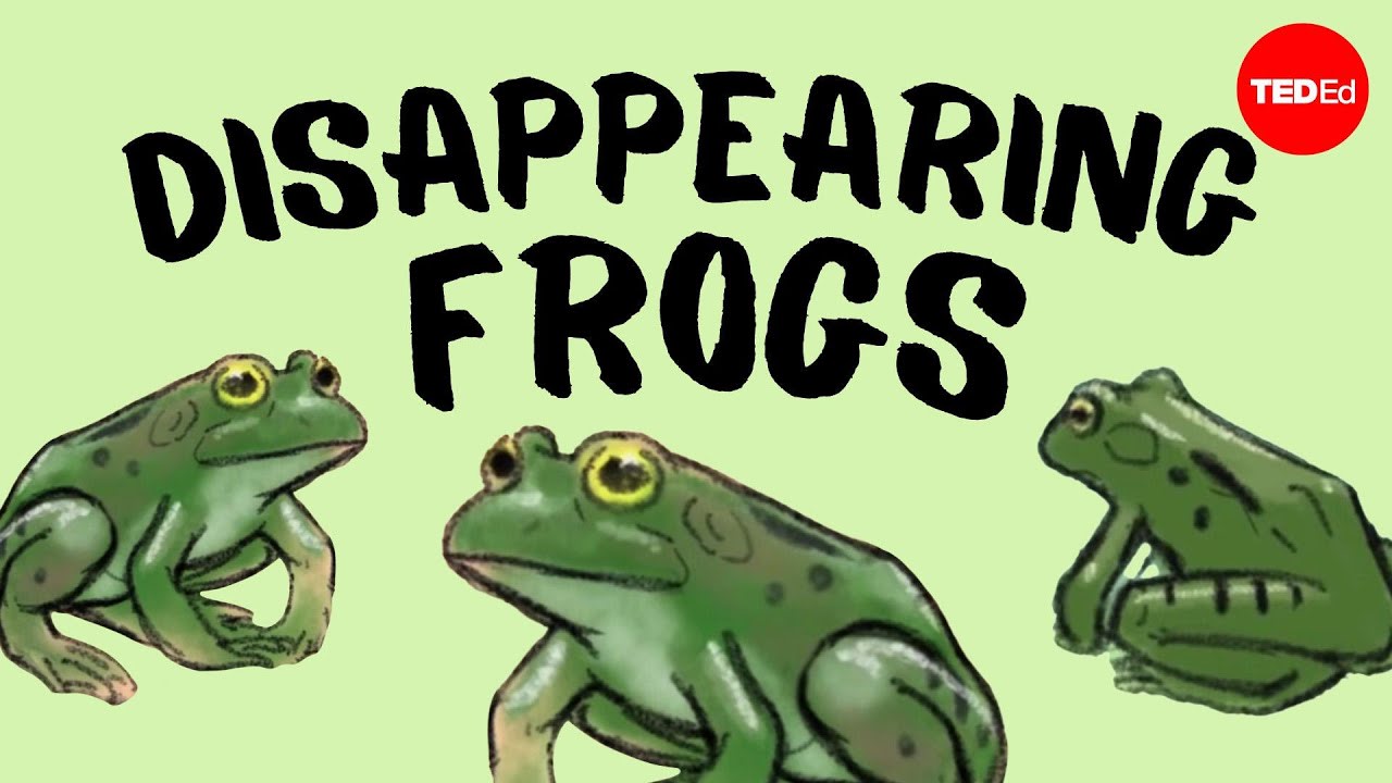 Why are frogs disappearing? - Kerry M. Kriger