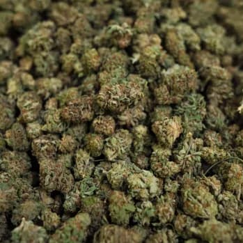 Early data suggests no spike in pot-impaired driving after legalization, police say