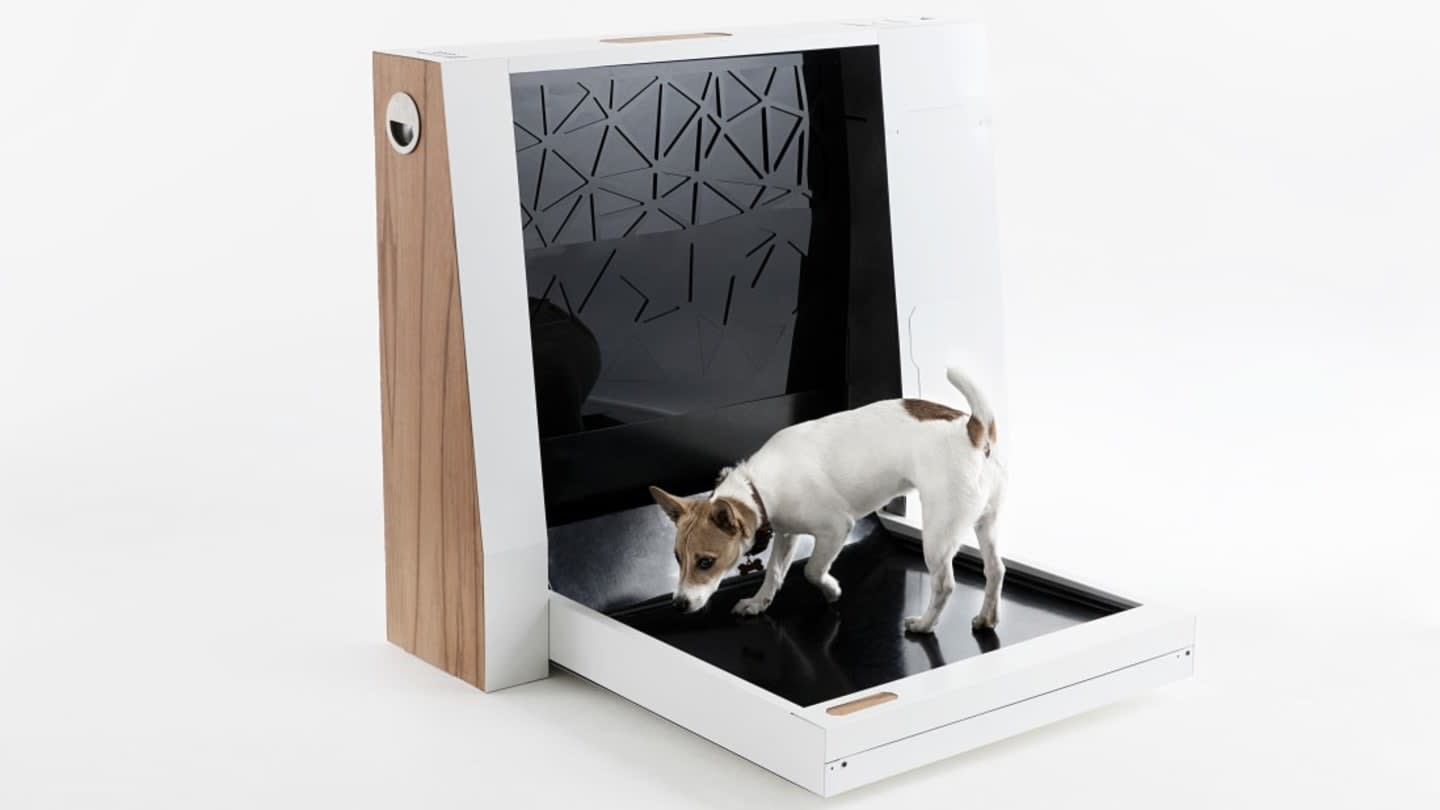 The World’s First Smart Toilet for Dogs Has Arrived