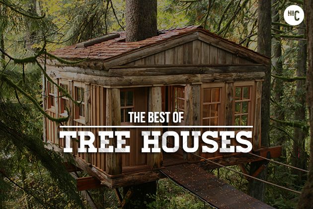 Forever Young: The 18 Greatest Tree Houses For Adults | HiConsumption