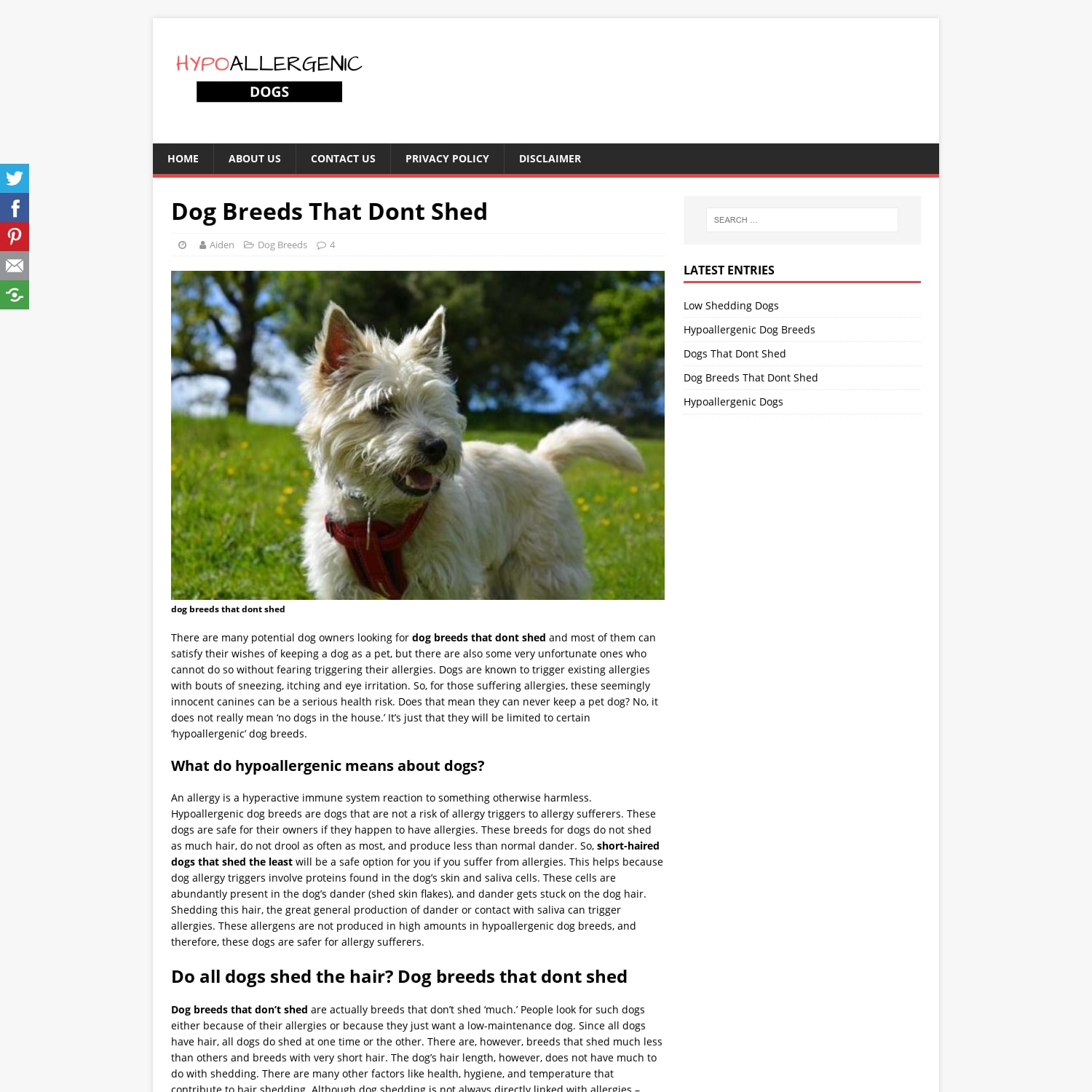 Dog Breeds that Dont Shed: A guide on Hypoallergenic Dogs