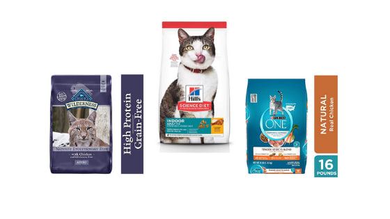 6 Best Soft Dry Cat Food For Cats With No Teeth - Guide 2020
