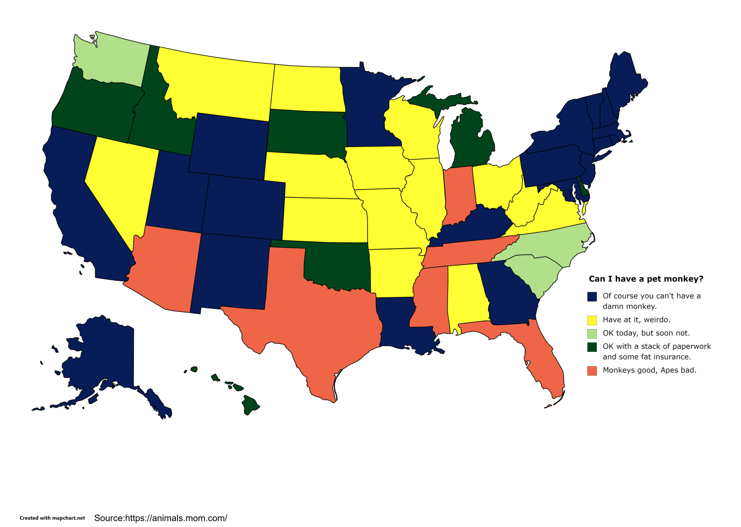 The yellow states in the map below are the states in which it is legal to own a MONKEY.