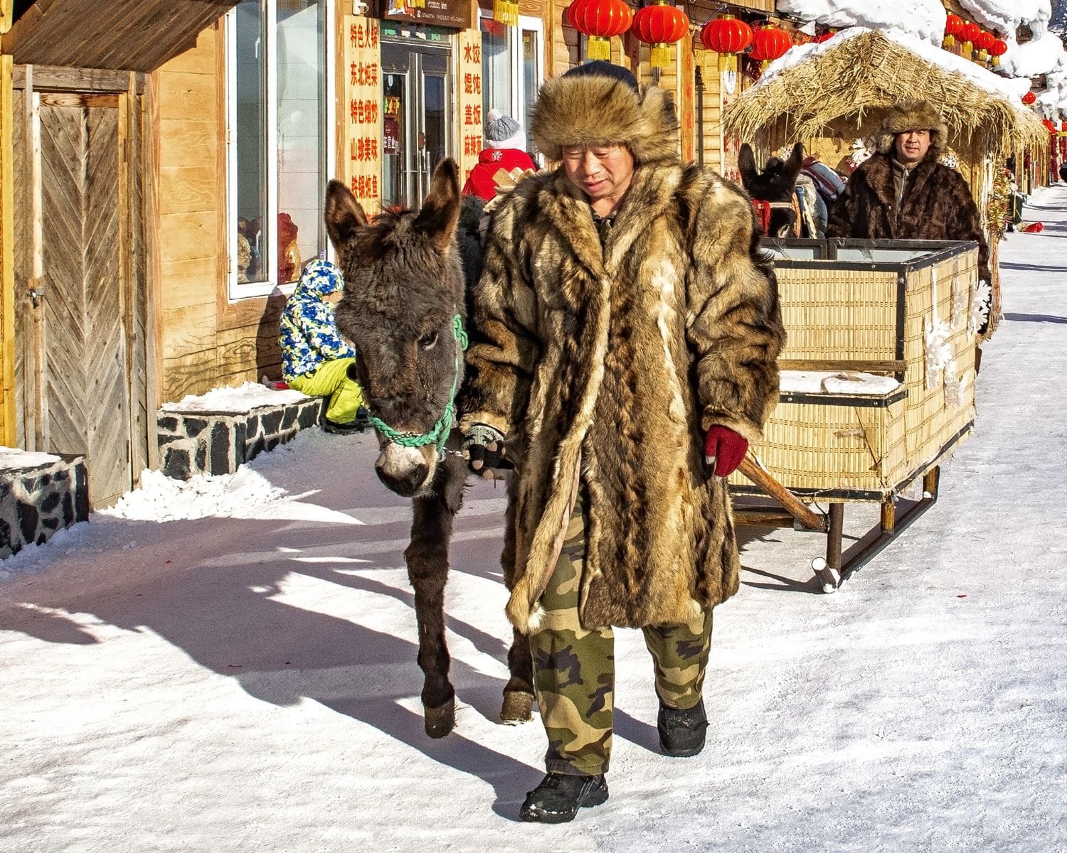 Transportation on ice