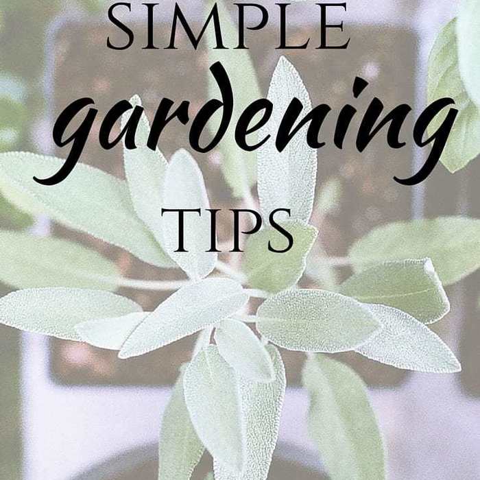 14 Simple Gardening Tips