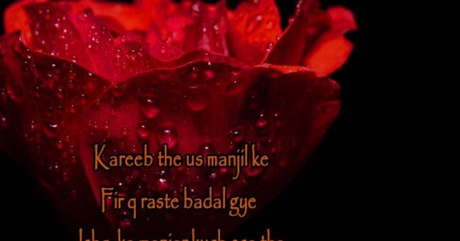 50+Latest unique love images in hindi shayari