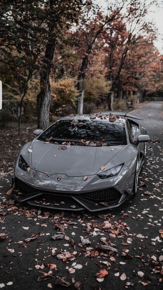 Lamborghini 🍃🍃🤤🤤🤤 beautiful shot
