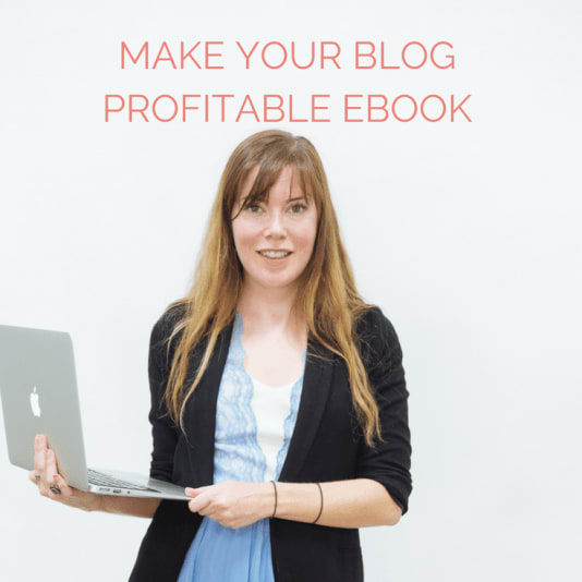 How We Grew our Blog from Zero Profit to $2,000 Profit in 3 Days EBook