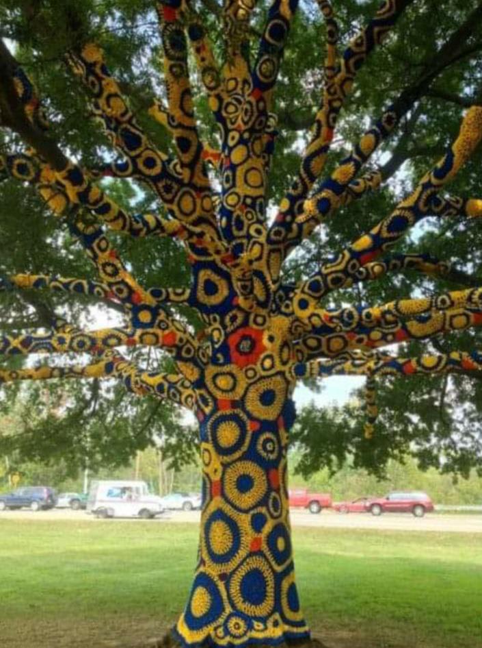 Crochet for trees in Morgantown, West Virginia. USA.