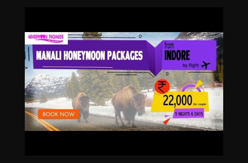 Manali honeymoon packages from Indore @ INR 22,000
