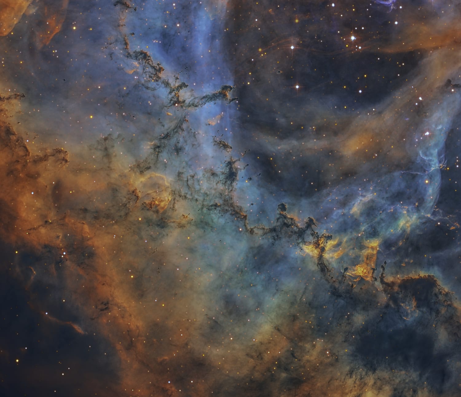 Using a 17 inch scope in the Atacama Desert, I was able to get this insanely detailed view of the Rosette Nebula