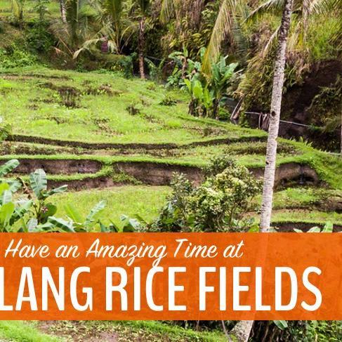 How to Have an Amazing Time at the Tegalalang Rice Fields