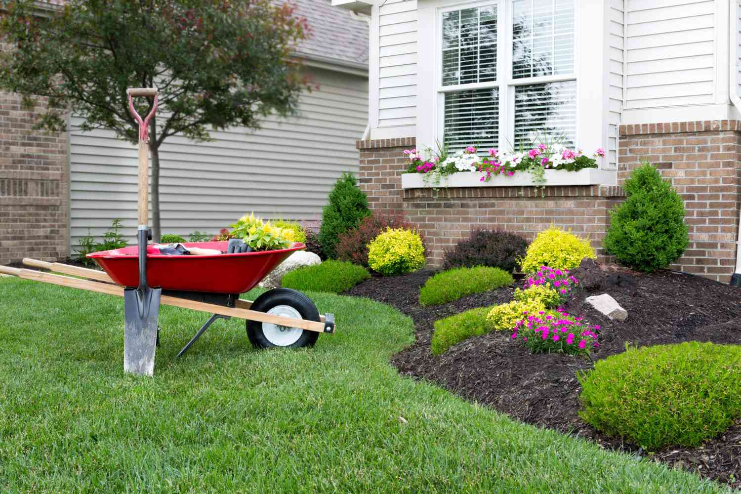 6 Things You Can Do Right Now for a Gorgeous Yard This Summer