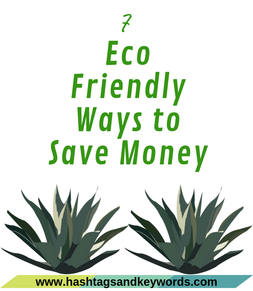 7 Eco Friendly Ways to Save Money