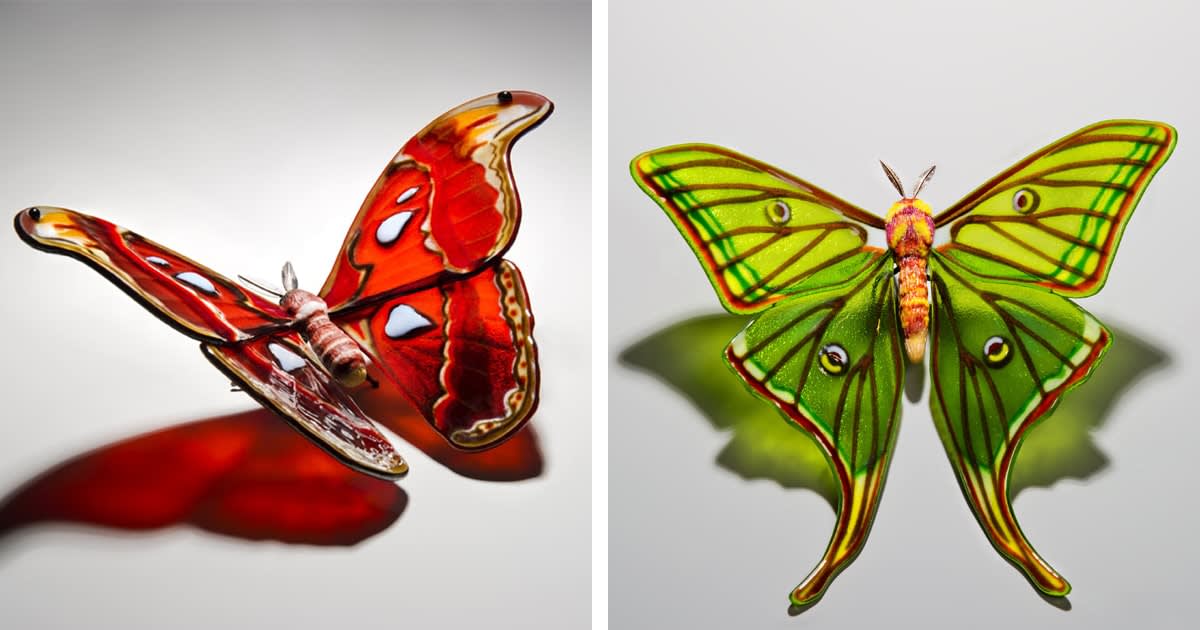 Endangered Butterfly Species Are Recreated in Glass, Immortalized as One-of-a-Kind Sculptures