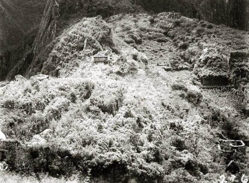Machu Picchu before excavation, as found by Hiram Bingham in 1911.