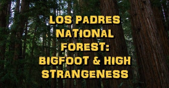 Los Padres National Forest: Bigfoot & High Strangeness