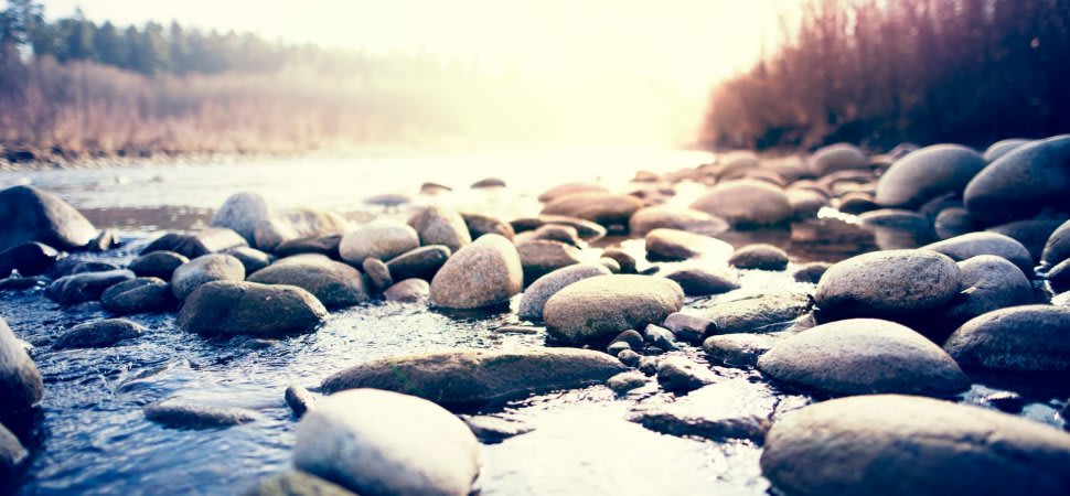 There Are 2 Types of Leaders: Water and Rock. Here's Why Both Are Important