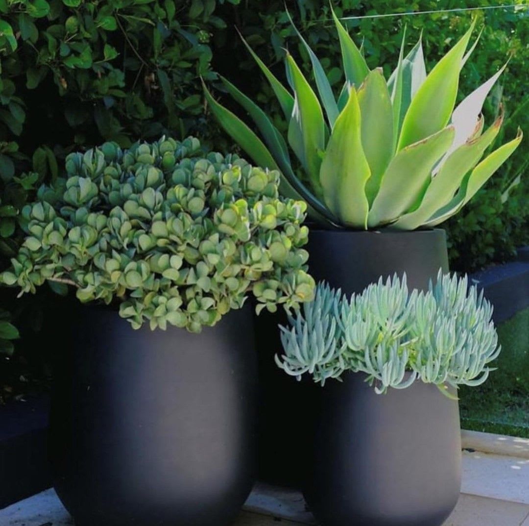 How to create the perfect three pot cluster | Designer Garden Pots - The Balcony Garden | Potted plants outdoor, Outdoor gardens design, Garden urns