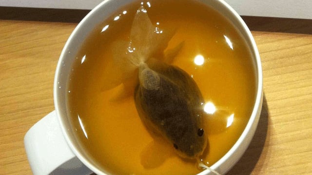 These Tea Bags Transform into Goldfish in Your Mug