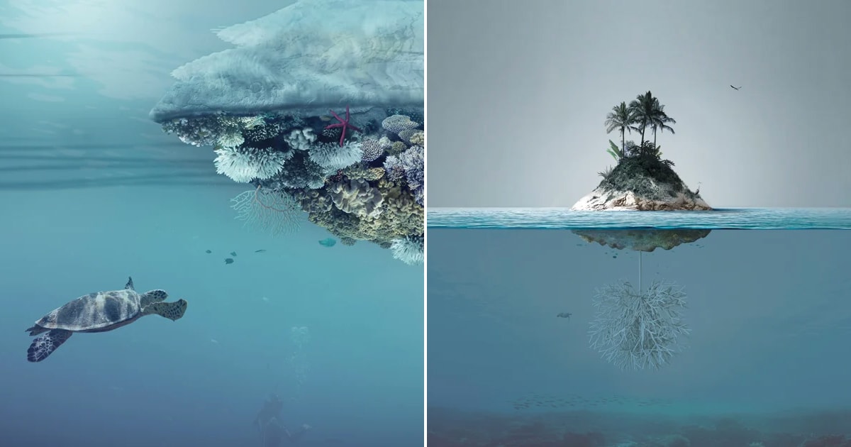angelo renna designs an artificial island to collect microplastics and protect marine life
