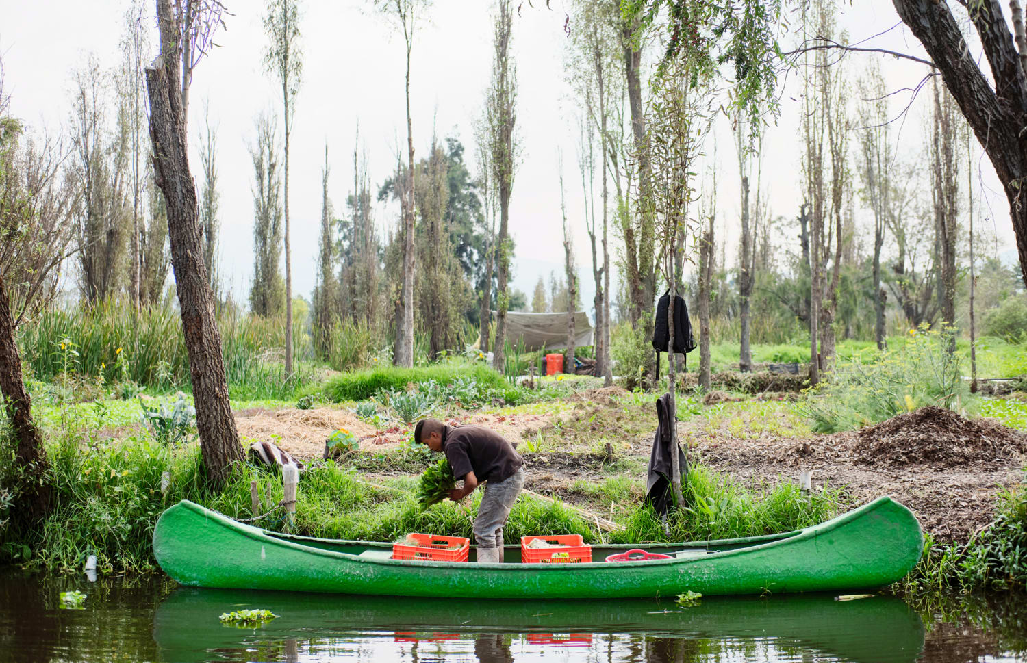PHOTO ESSAY: The Last Floating Farms of Mexico City