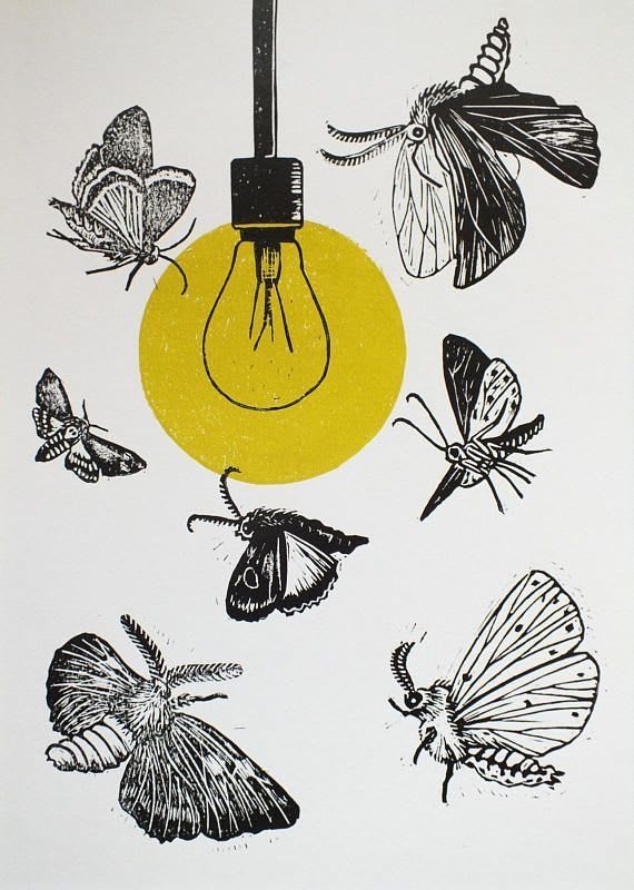 Pin by Dorine Joan on •moth• | Lino print, Sketch book, Linocut