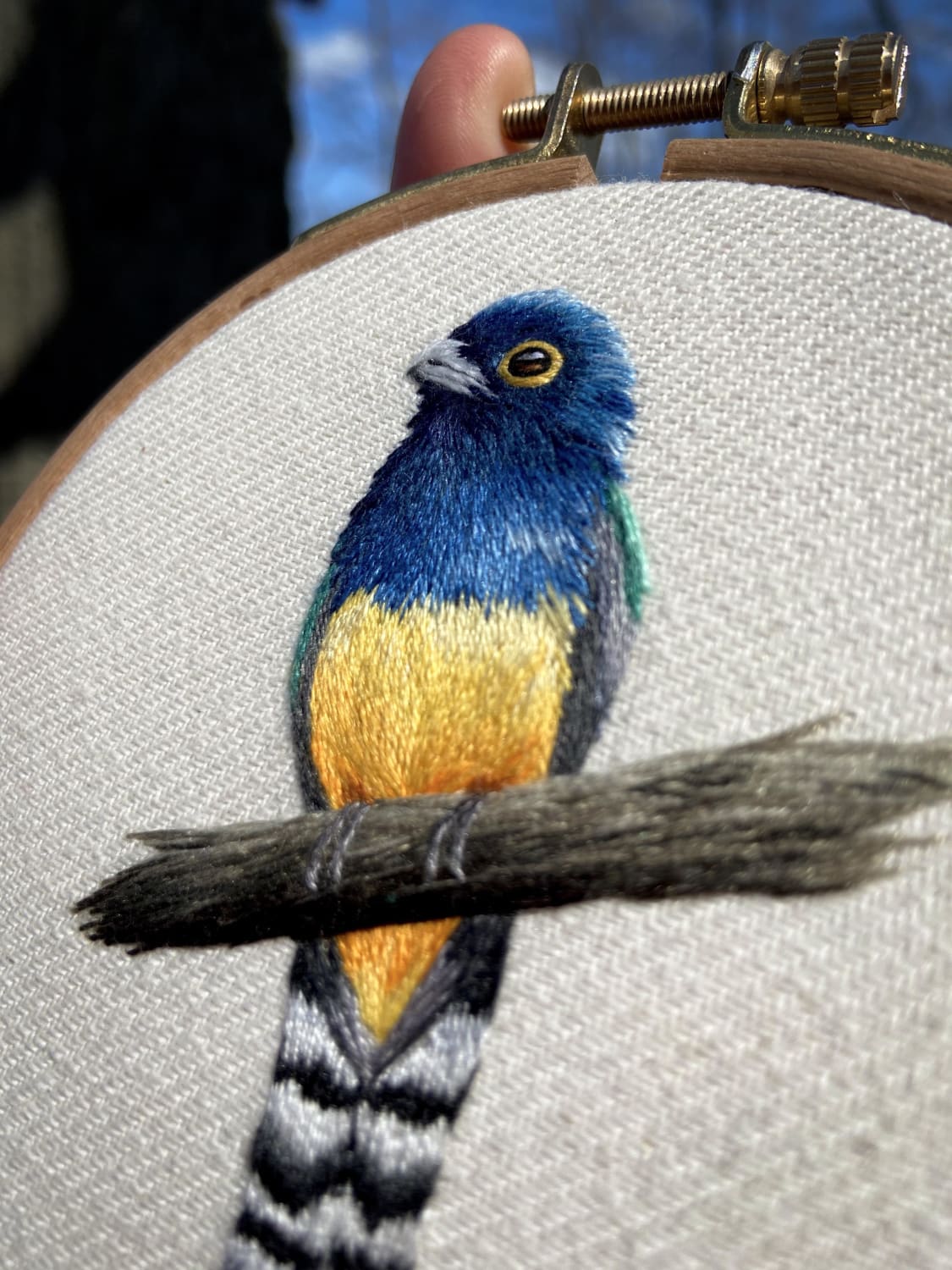 Close up of my most recent embroidery - a Central American gartered trogon. Love that ✨ sheen ✨