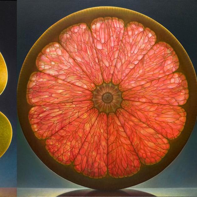 Luminous Portraits of Sliced Fruit Glow Like Stained Glass Windows