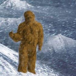 How Does Bigfoot Survive in Winter?