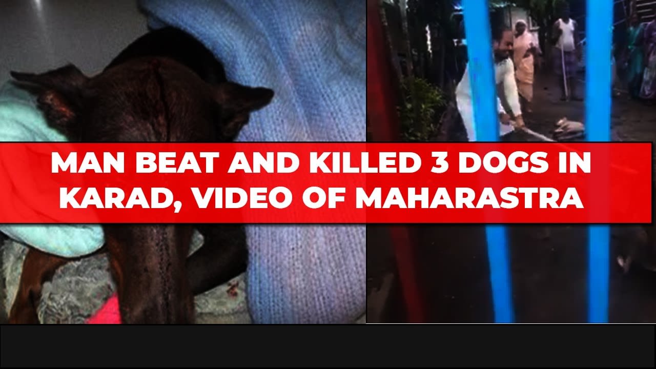 MAN KILLING 3 DOGS VIDEO - WILL THE POLICE BOOK SUO MOTO CASE?