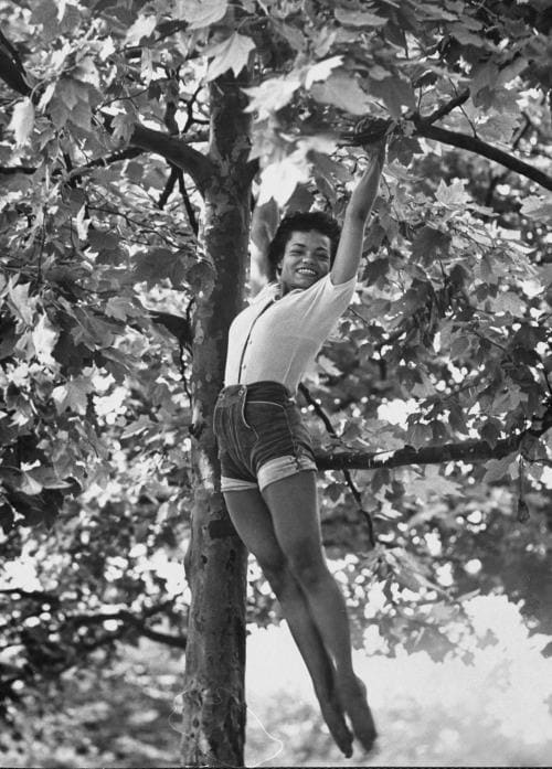 Eartha Kitt swinging in a tree. Photo by Gordon Parks.