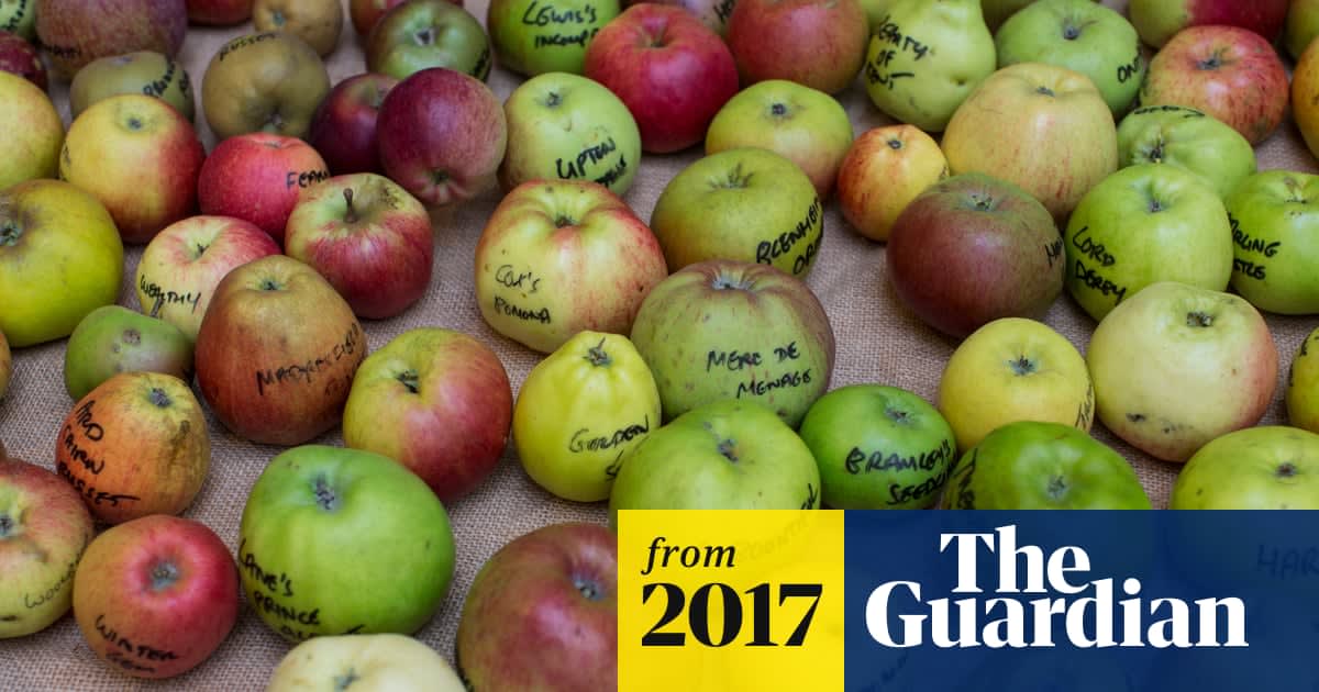 Geneticists trace humble apple's exotic lineage all the way to the Silk Road