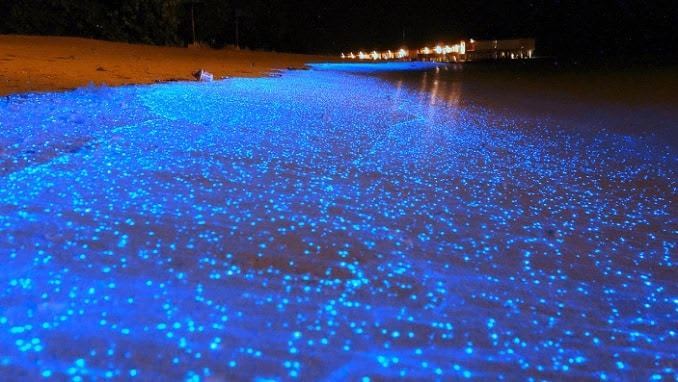 The Glowing Beach | Sea Of Stars Vaadhoo Island, Maldives