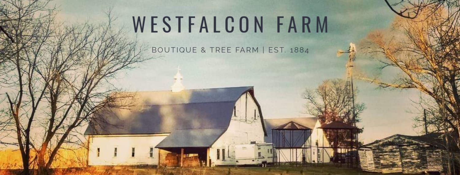 Westfalcon Farm Boutique: Our Inaugural Run