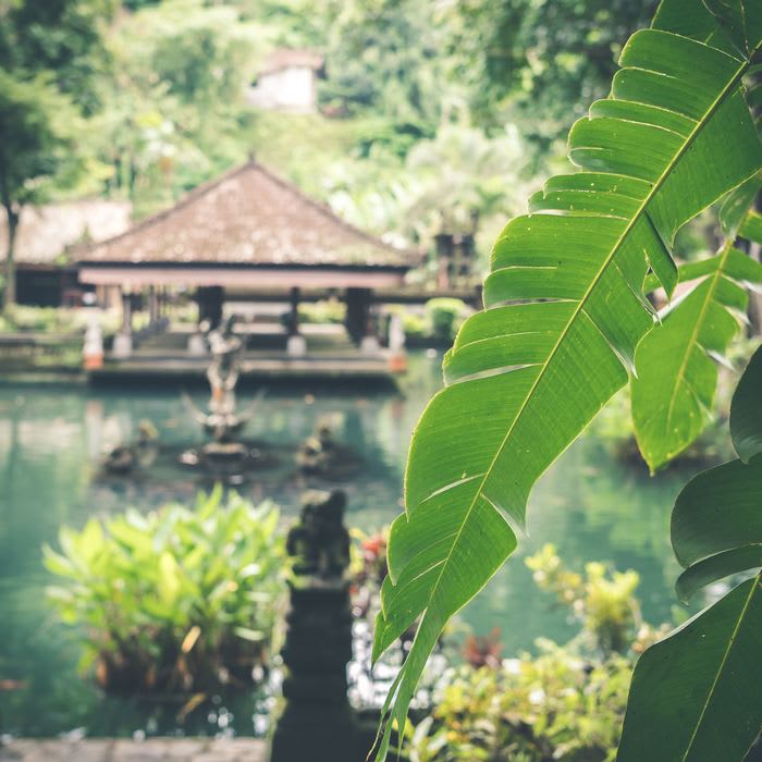 Where to stay in Bali (For first time visitors)